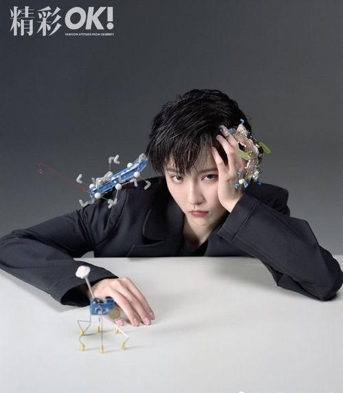 诸葛大力最新爆料,揭秘娱乐圈不为人知的秘密